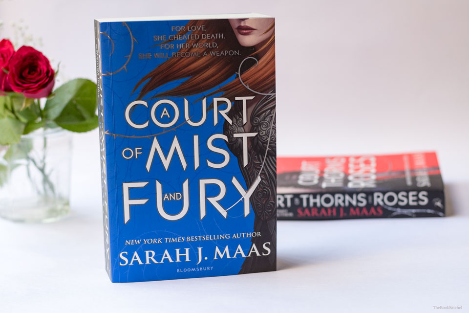 A Court of Mist and Fury by Sarah J Maas