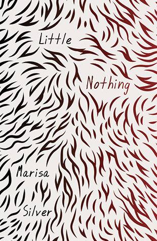 Little Nothing by Marisa Silver