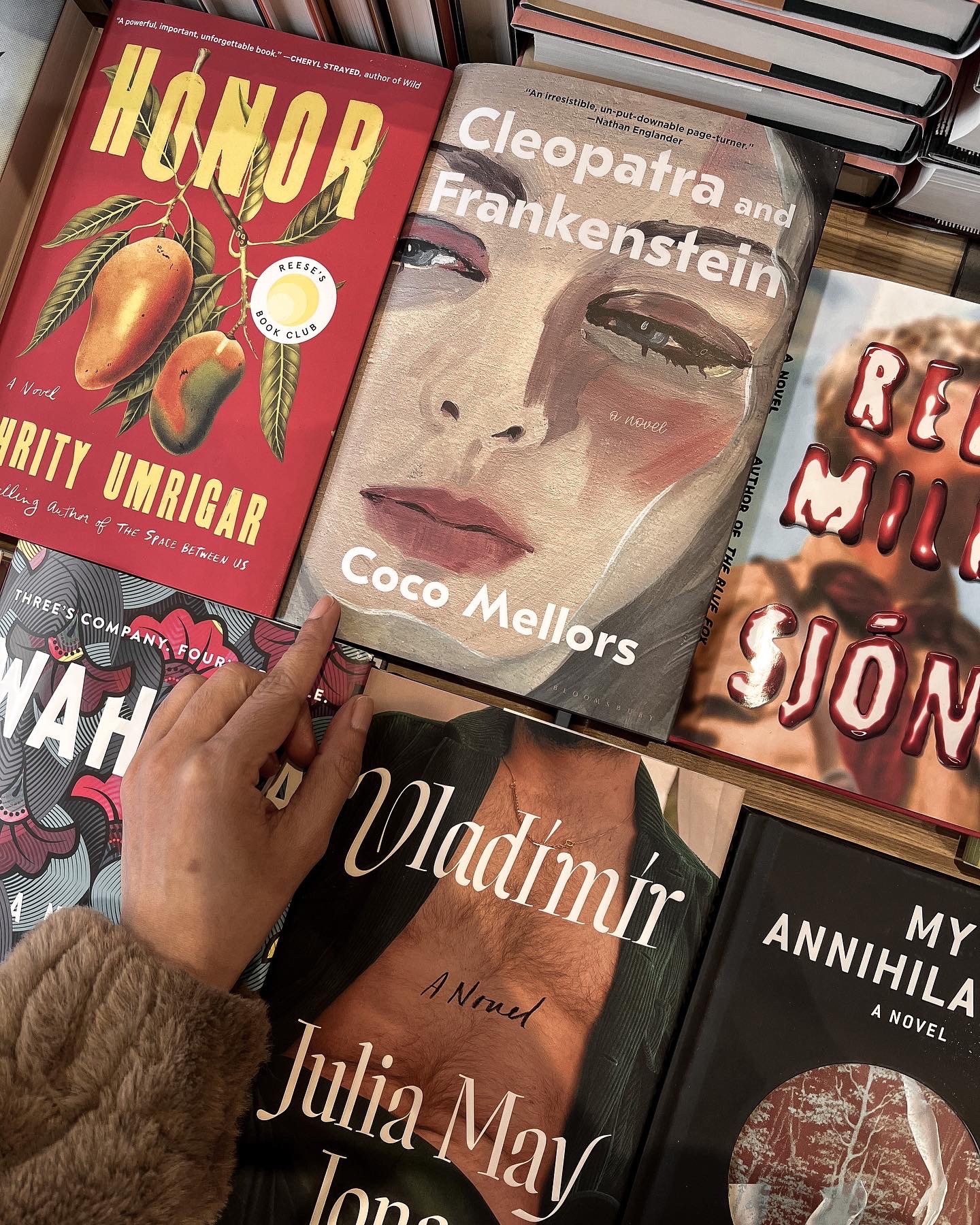 Books of 2022 :Cleopatra and Frankenstein by Coco Mellors