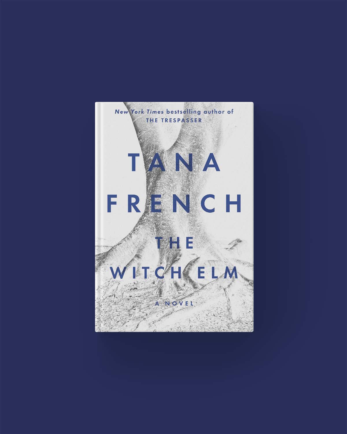 The Witch Elm by Tana French What order to read Tana French